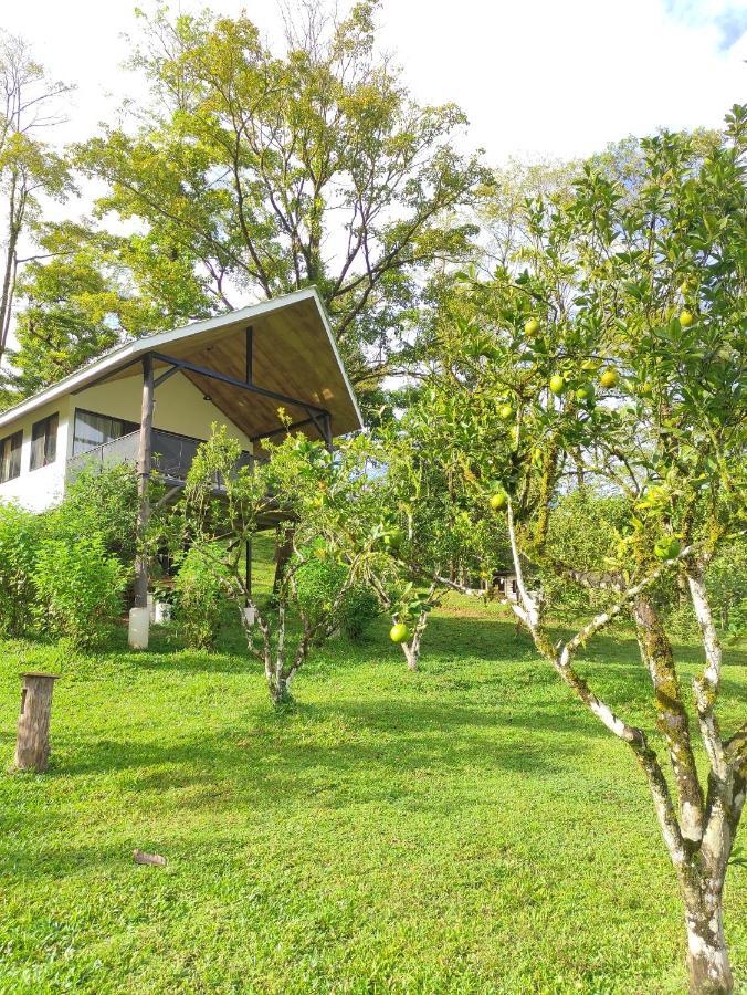 Villa Hacienda Mil Bellezas Quepos Zimmer foto